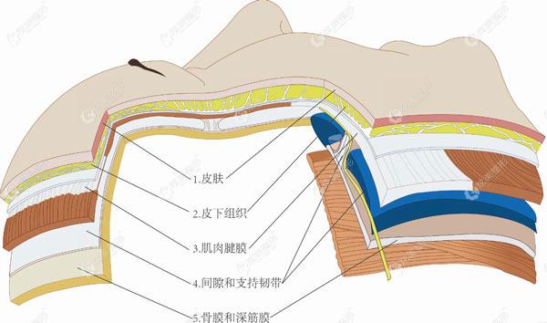 PSV沿ò]ϿpϷ