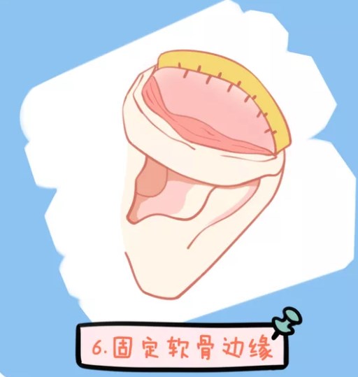 �塢�����Ķ����������Ŀڱ�����